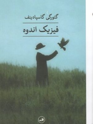 فیزیک اندوه