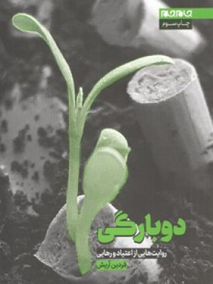 دوبارگی